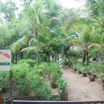 Herbal Garden