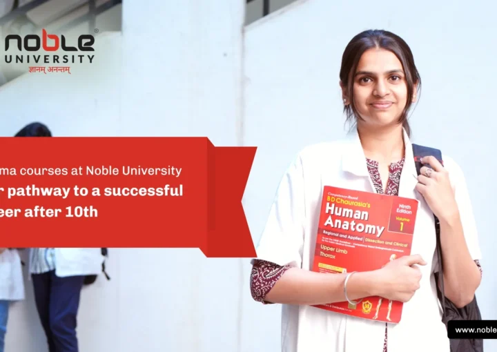 Diploma courses at Noble University: Your pathway to a successful career after 10th