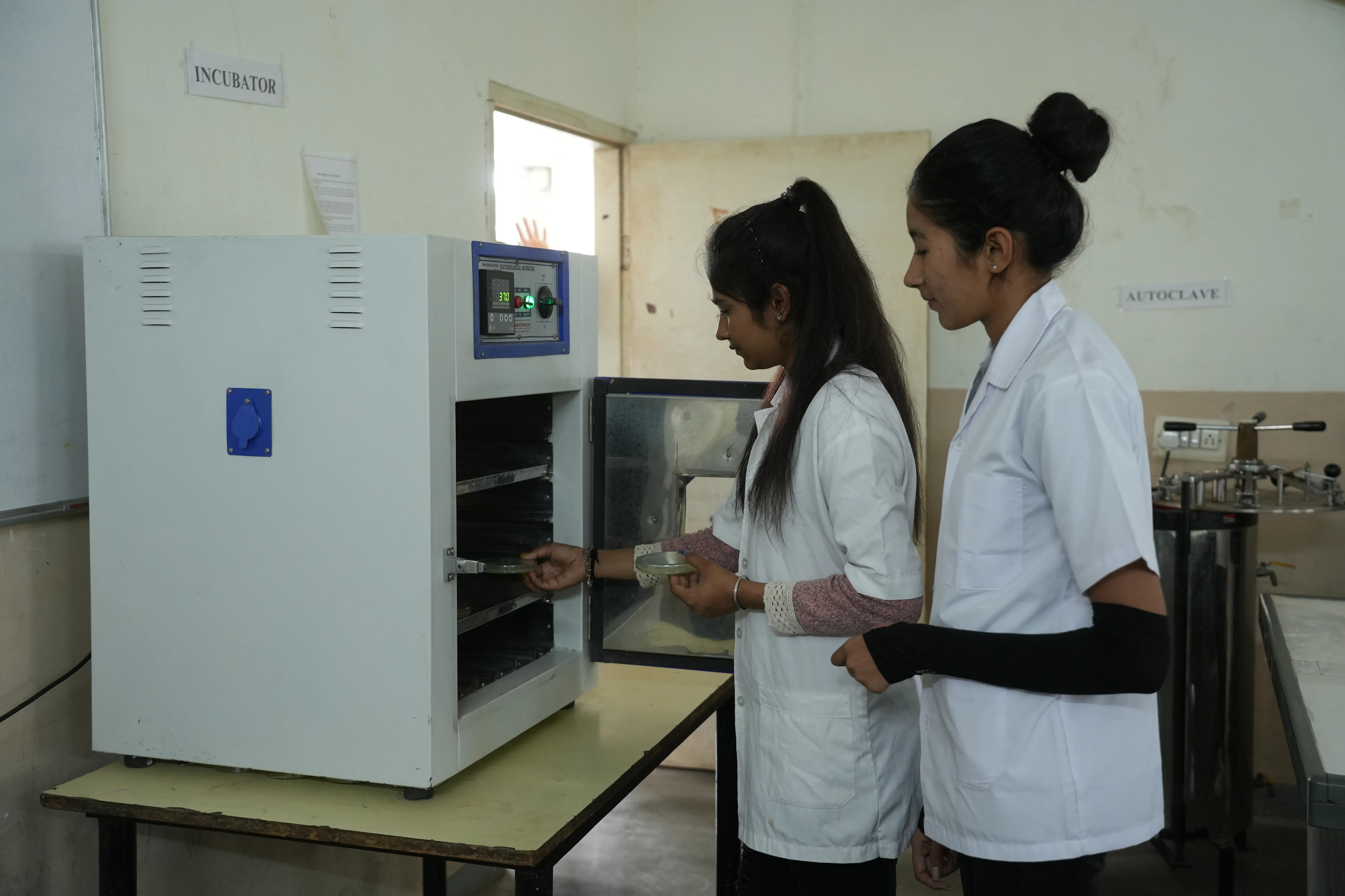 B.Sc. Nursing